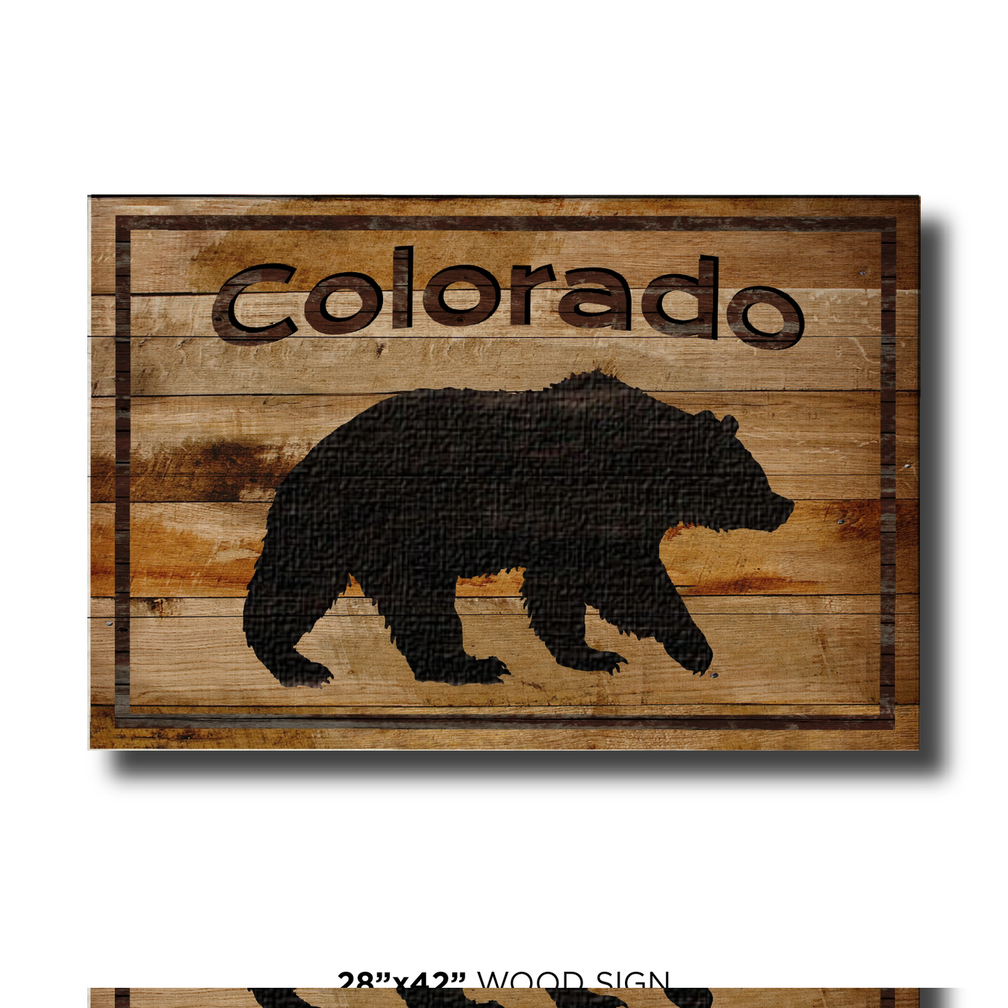 Colorado Black Bear