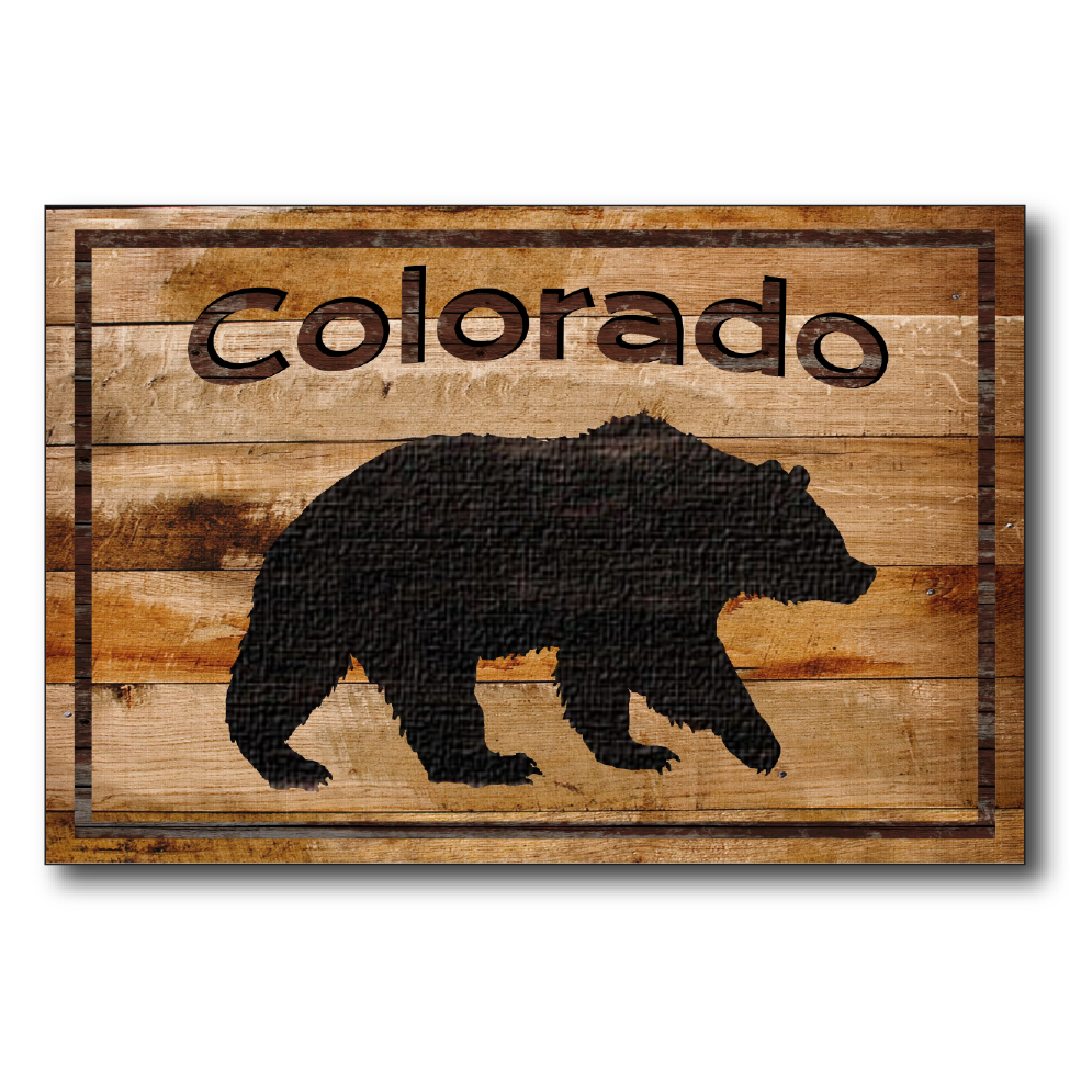 Colorado Black Bear