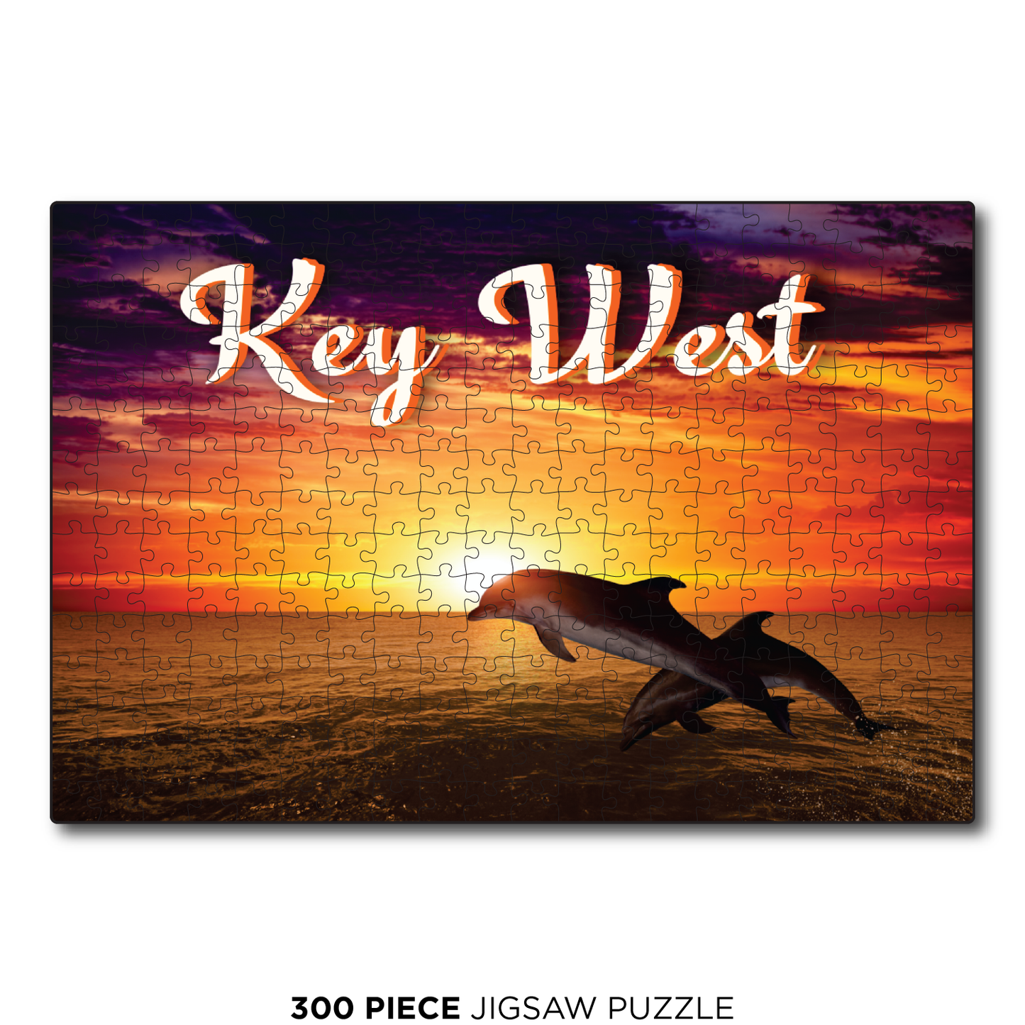 Key West Dolphin Sunset