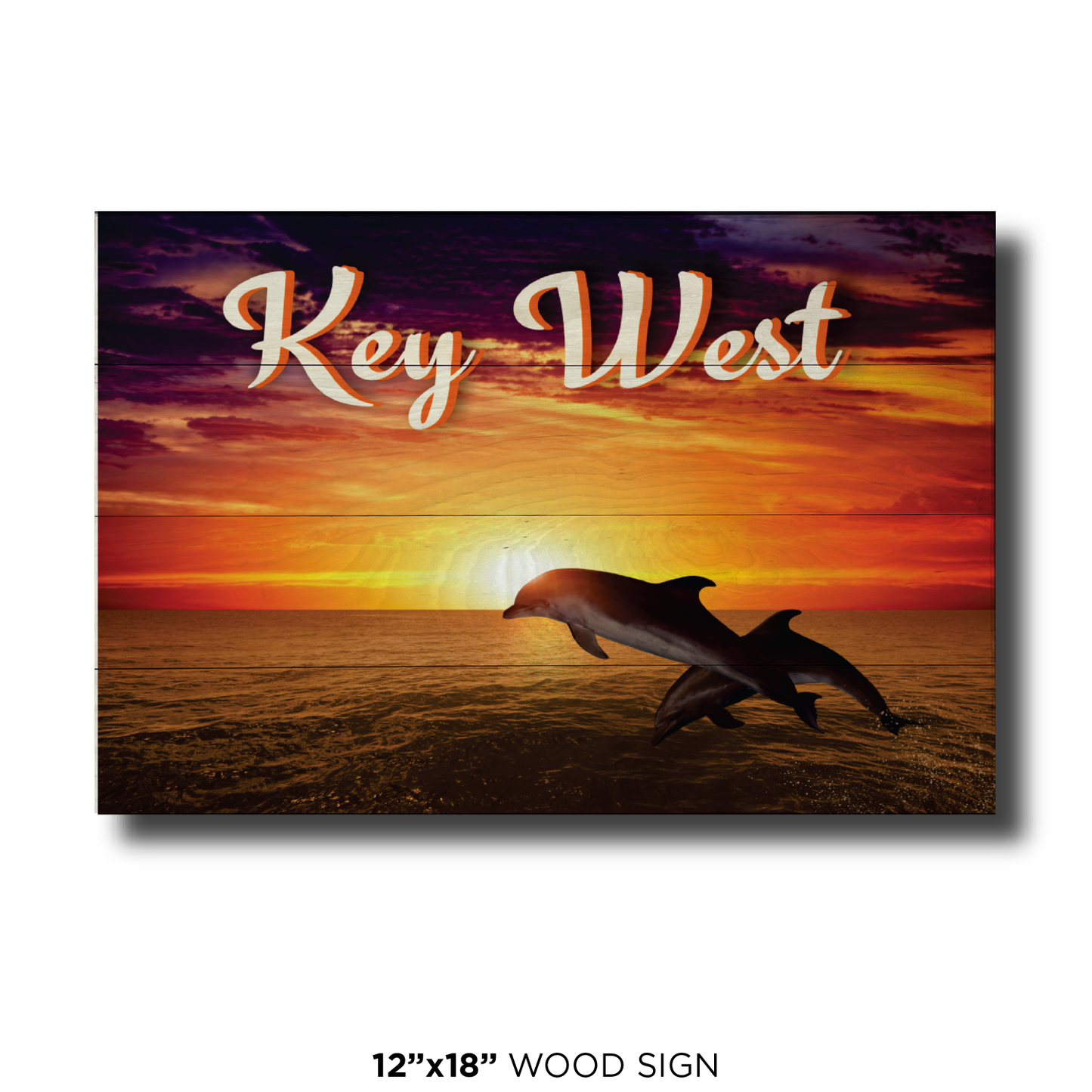 Key West Dolphin Sunset