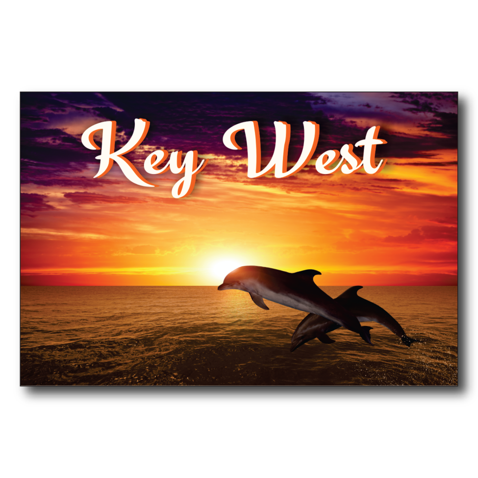 Key West Dolphin Sunset