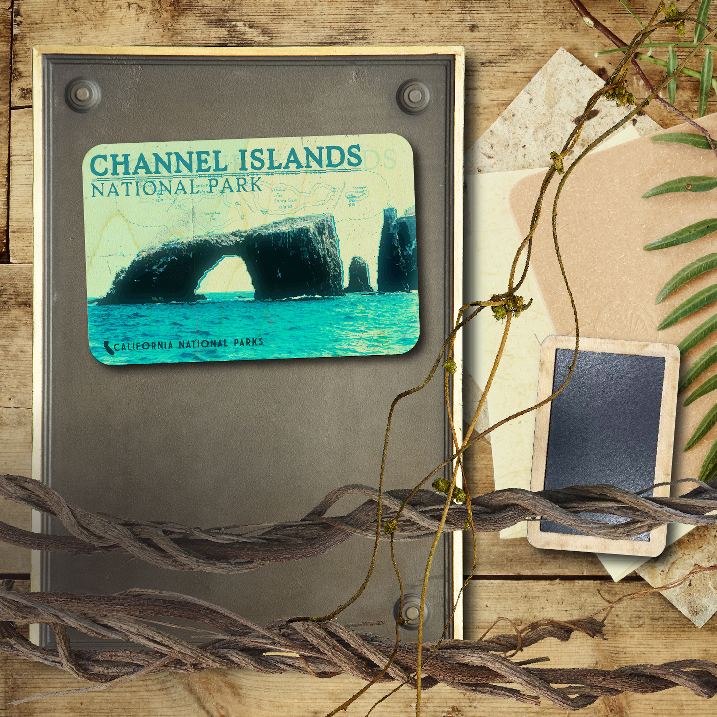 Channel Islands