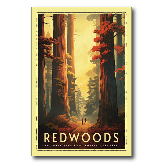 Redwoods National Park