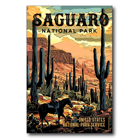 Saguaro US National Park Dark