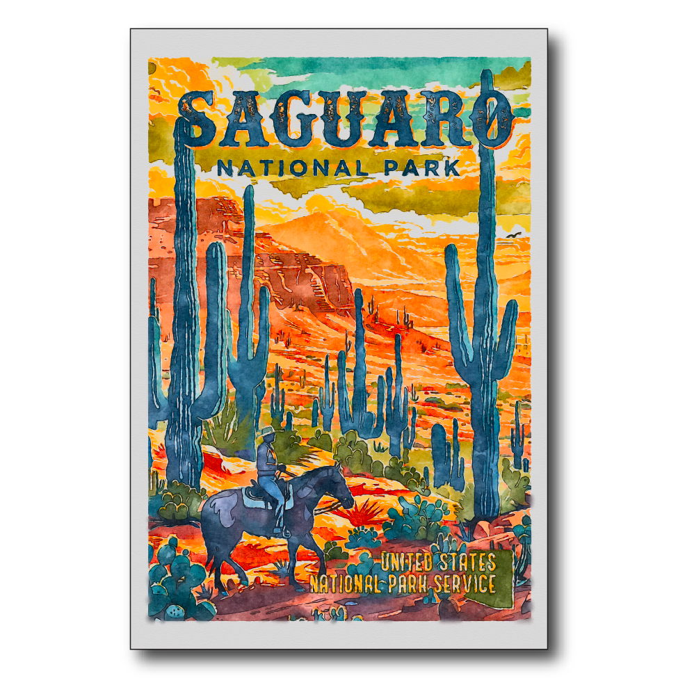 Saguaro US National Park Bright