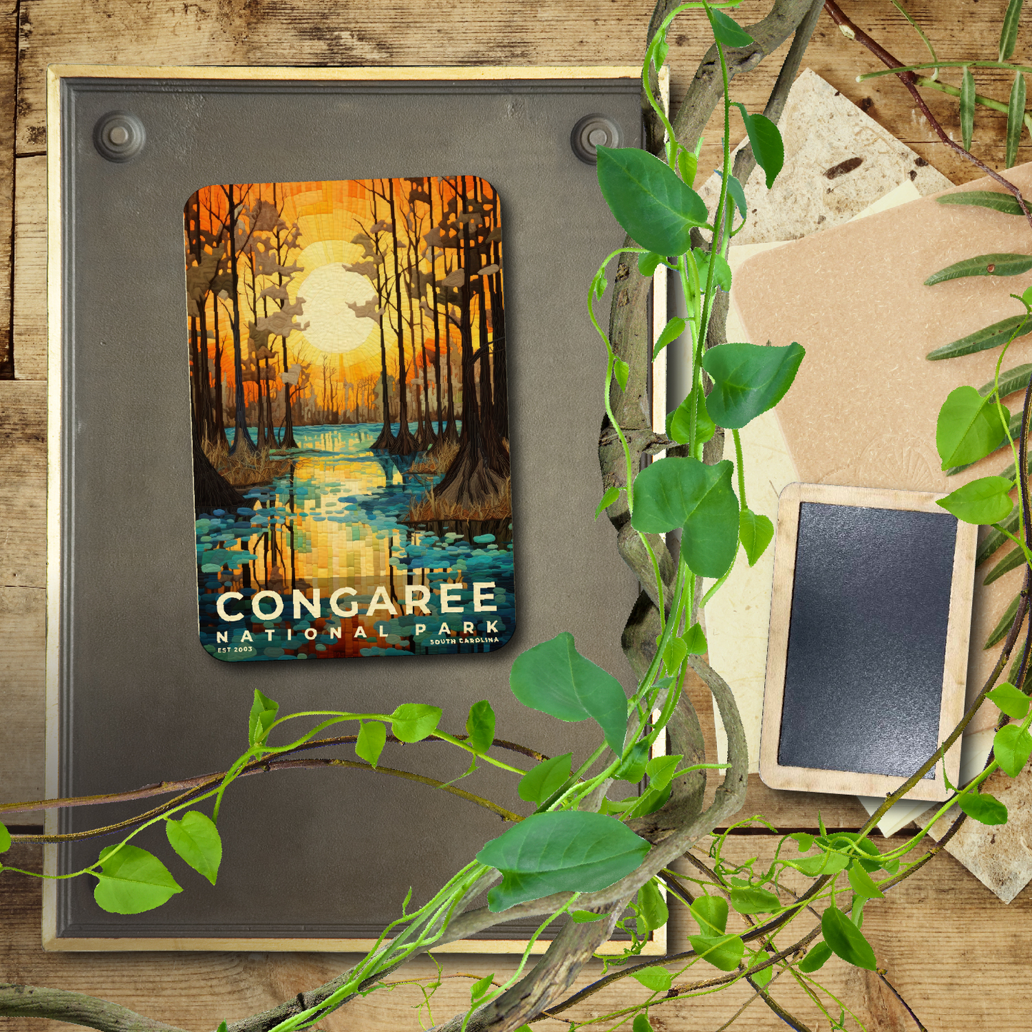 Congaree National Park - Quilted