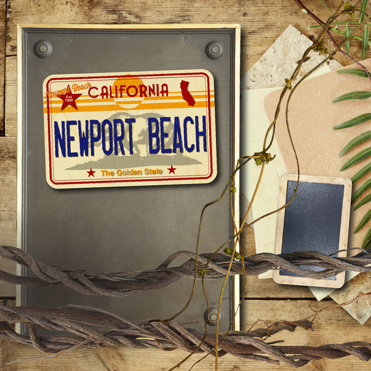 CA License Plate Newport Beach