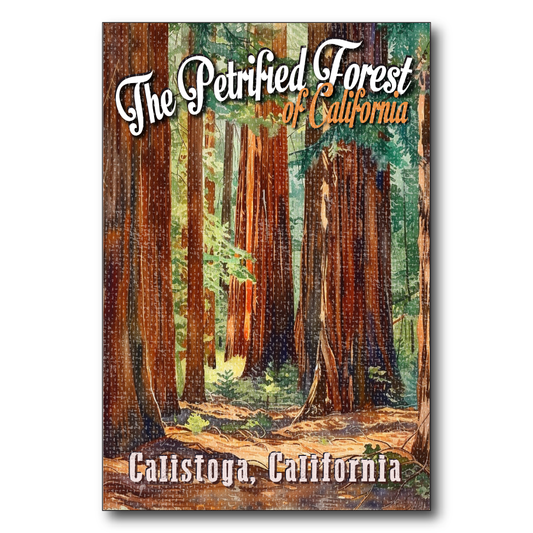 The Petrified Forest Calistoga