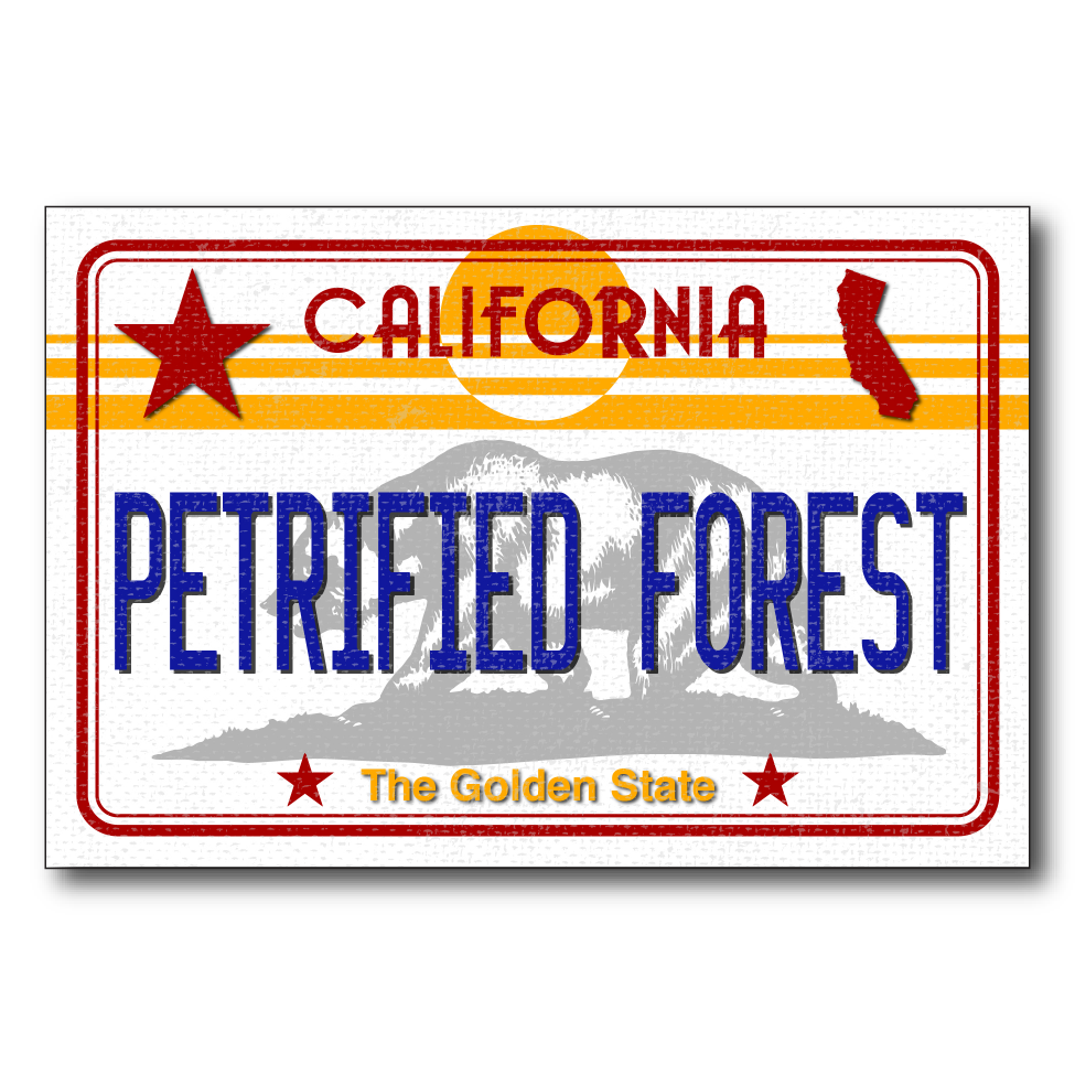 CA License Plate Petrified Forest