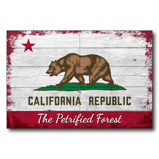 CA Republic Petrified Forest