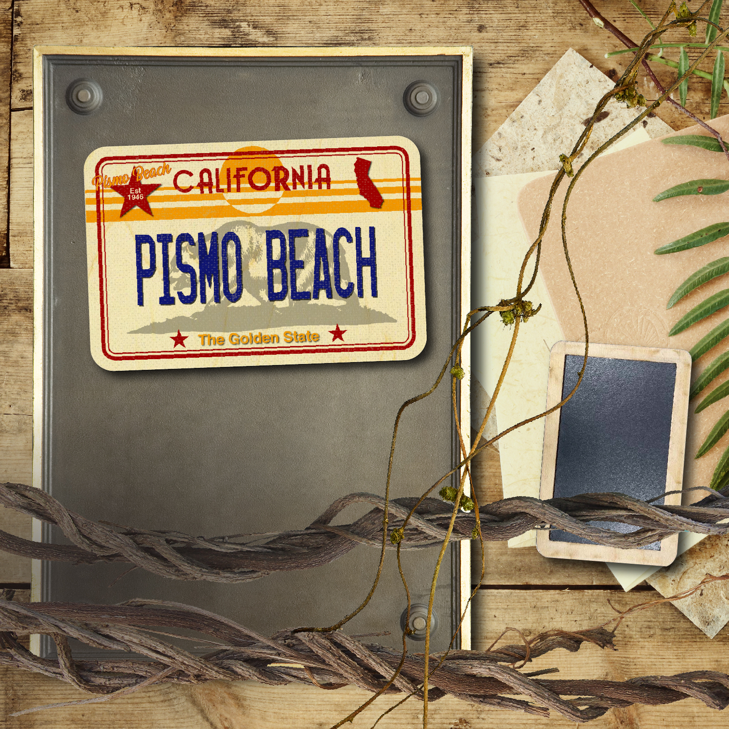 CA License Plate Pismo Beach