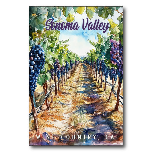 Purple Vines Sonoma Valley