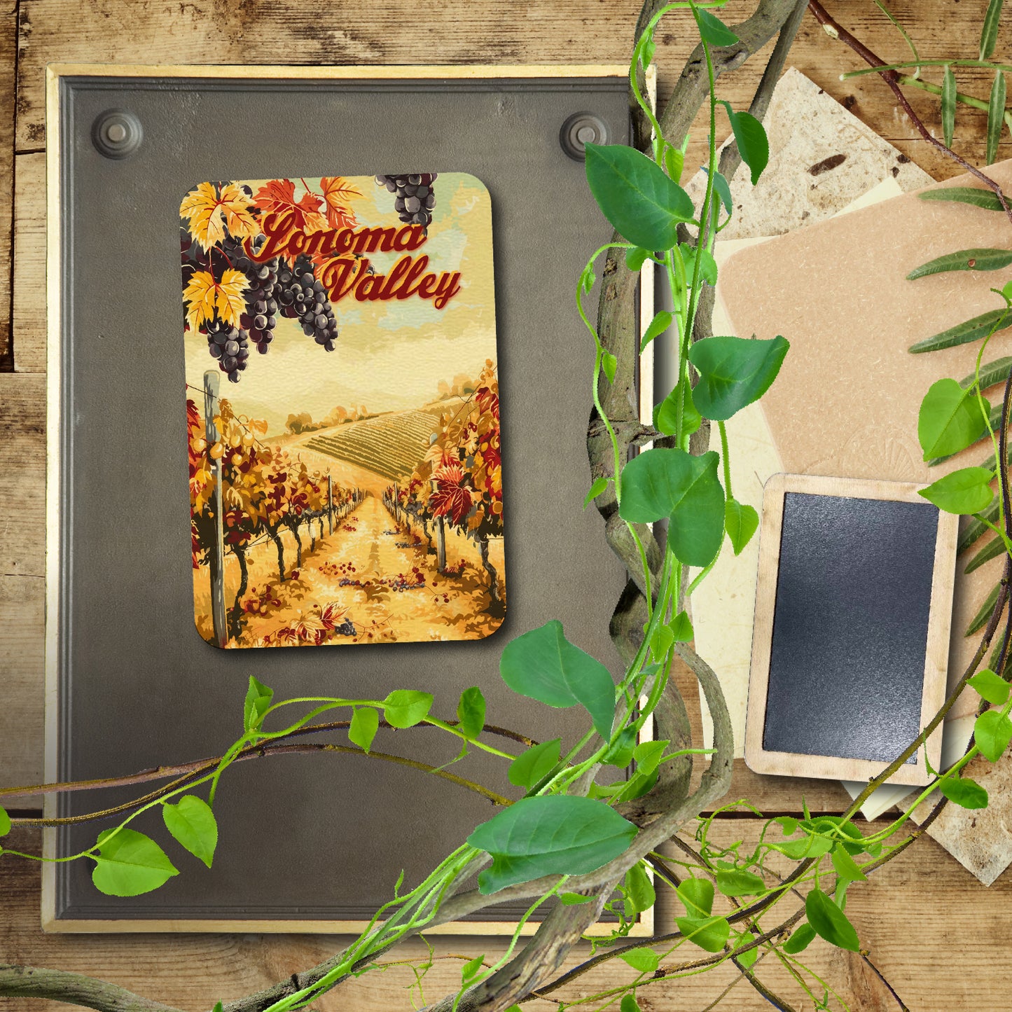 Orange Vines Sonoma Valley