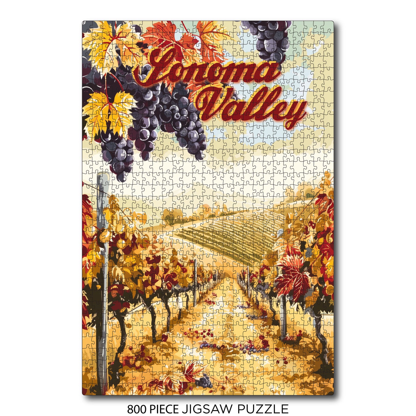 Orange Vines Sonoma Valley