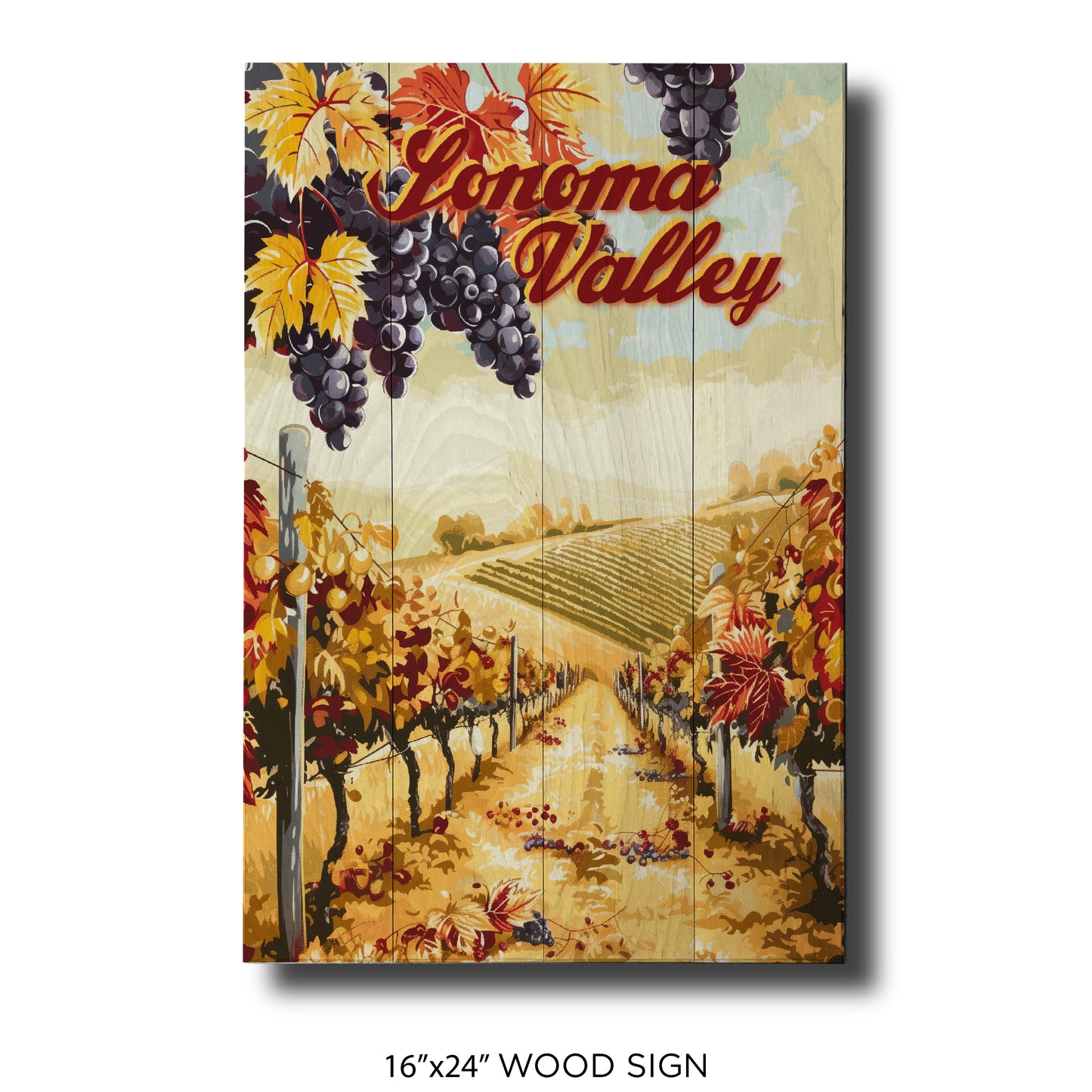 Orange Vines Sonoma Valley