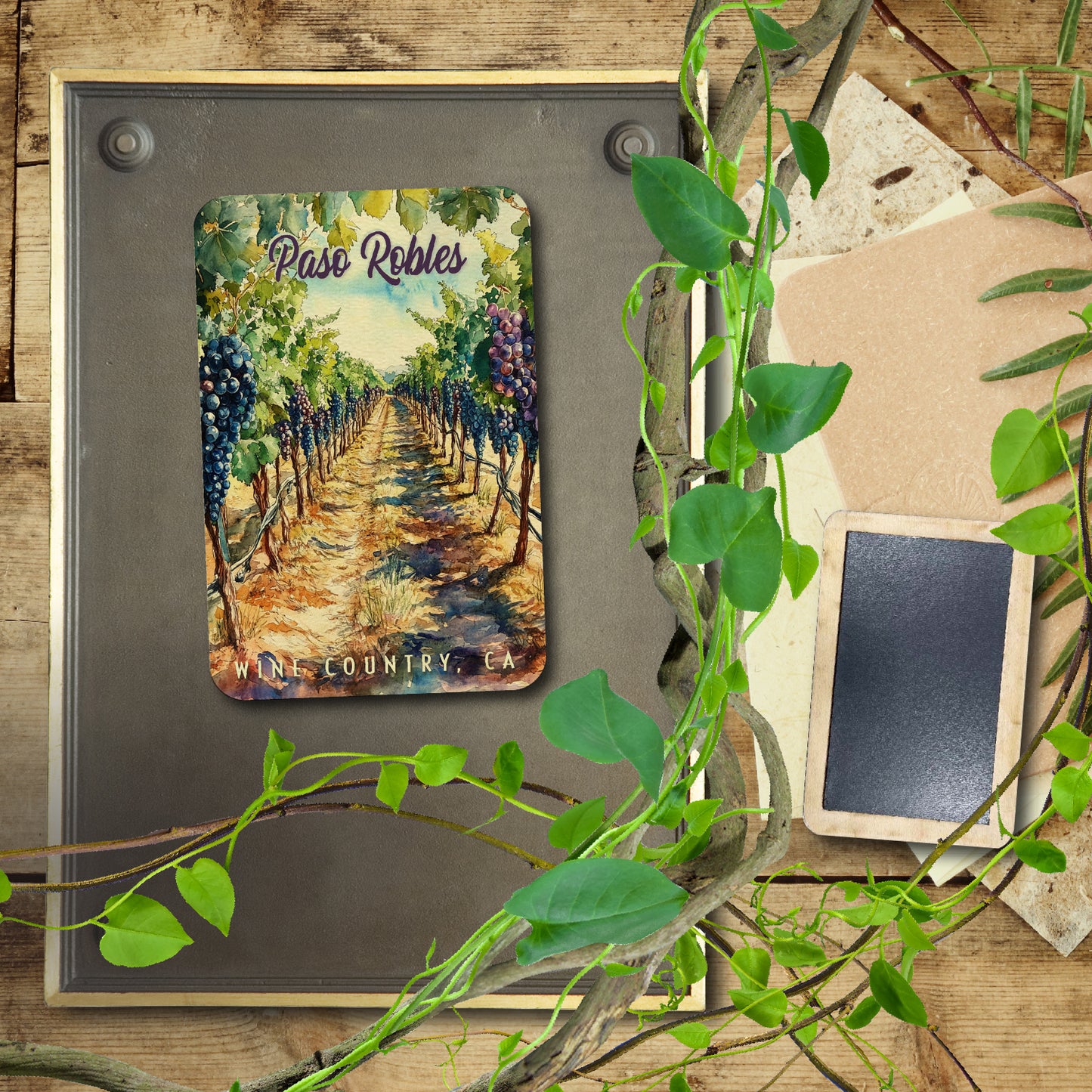 Paso Robles Purple Vineyard