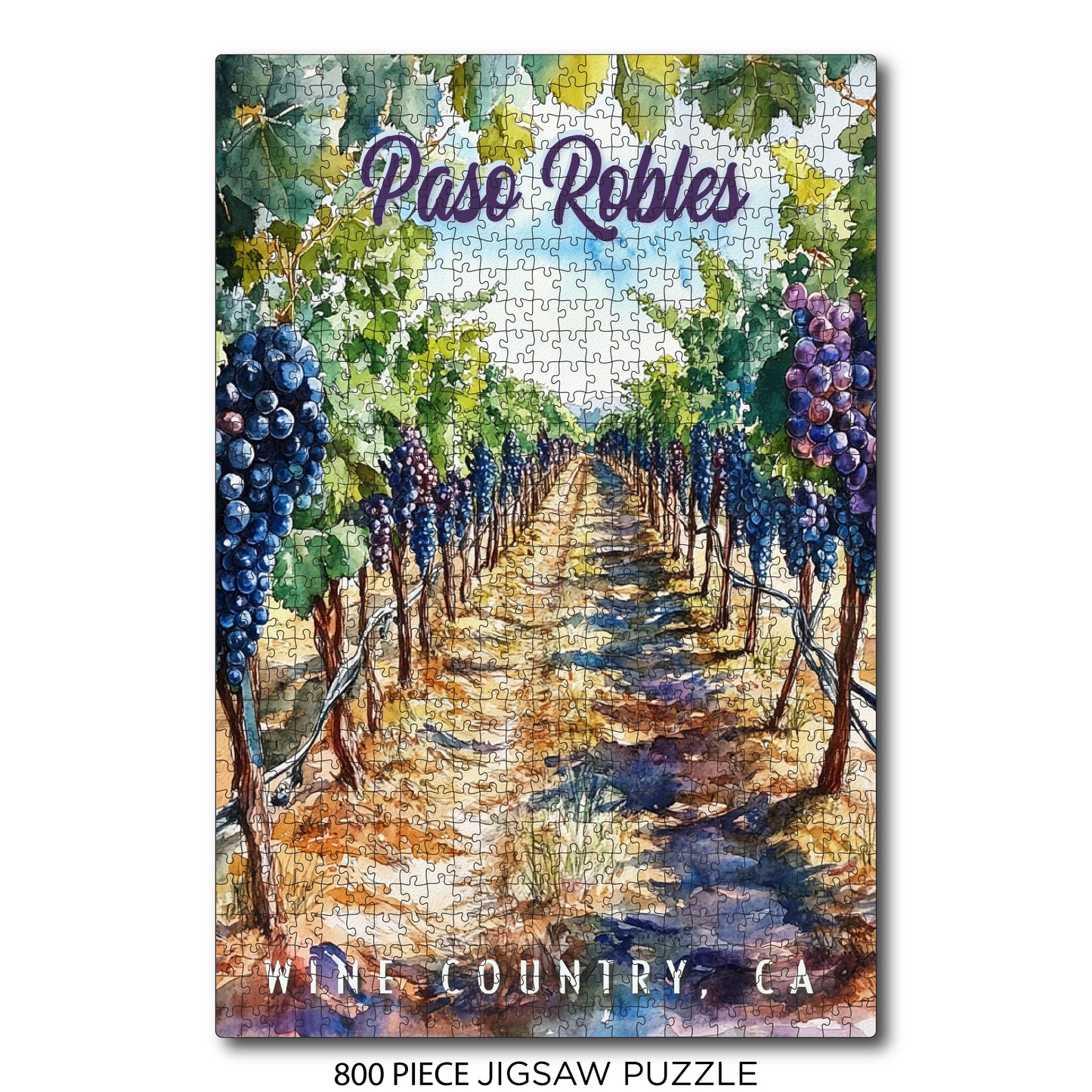 Paso Robles Purple Vineyard