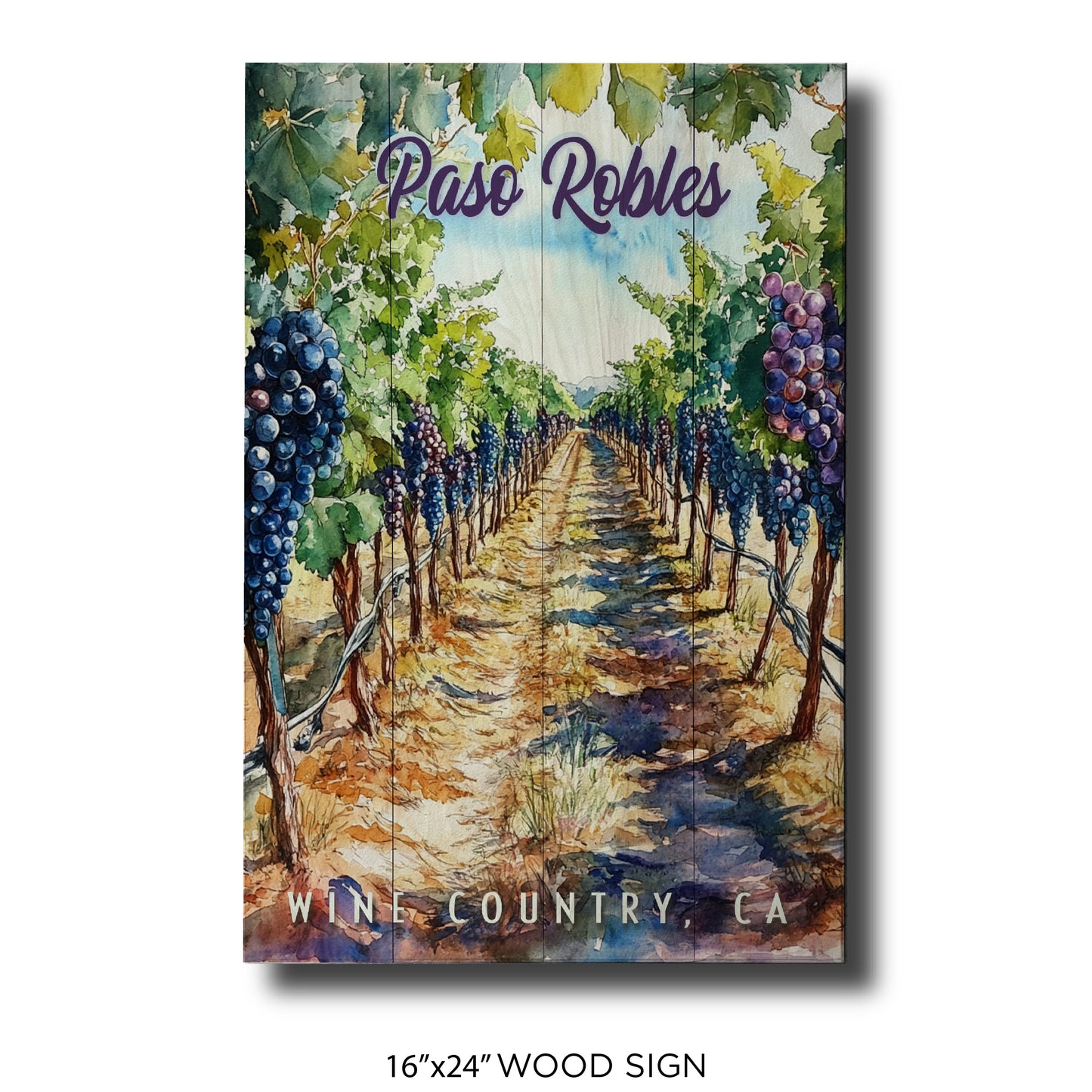 Paso Robles Purple Vineyard