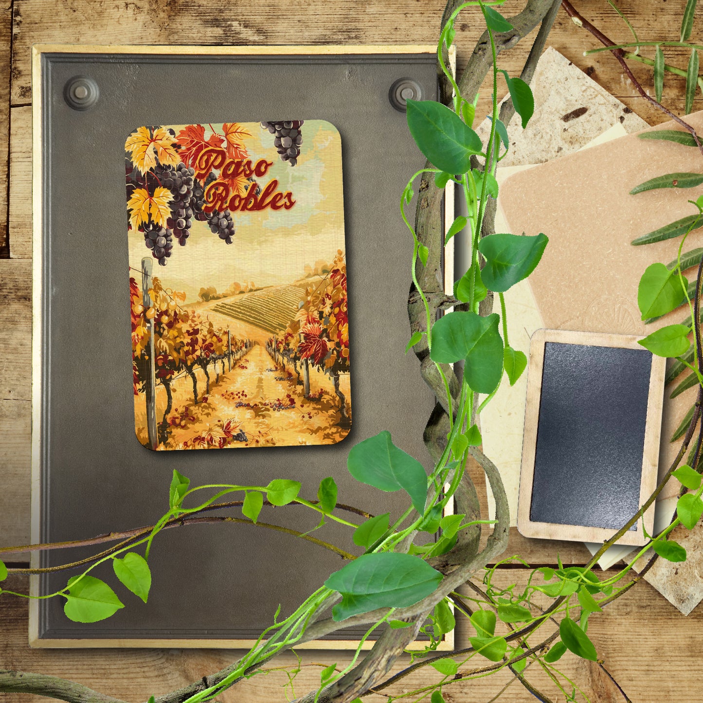 Paso Robles Orange Vineyard