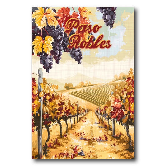 Paso Robles Orange Vineyard
