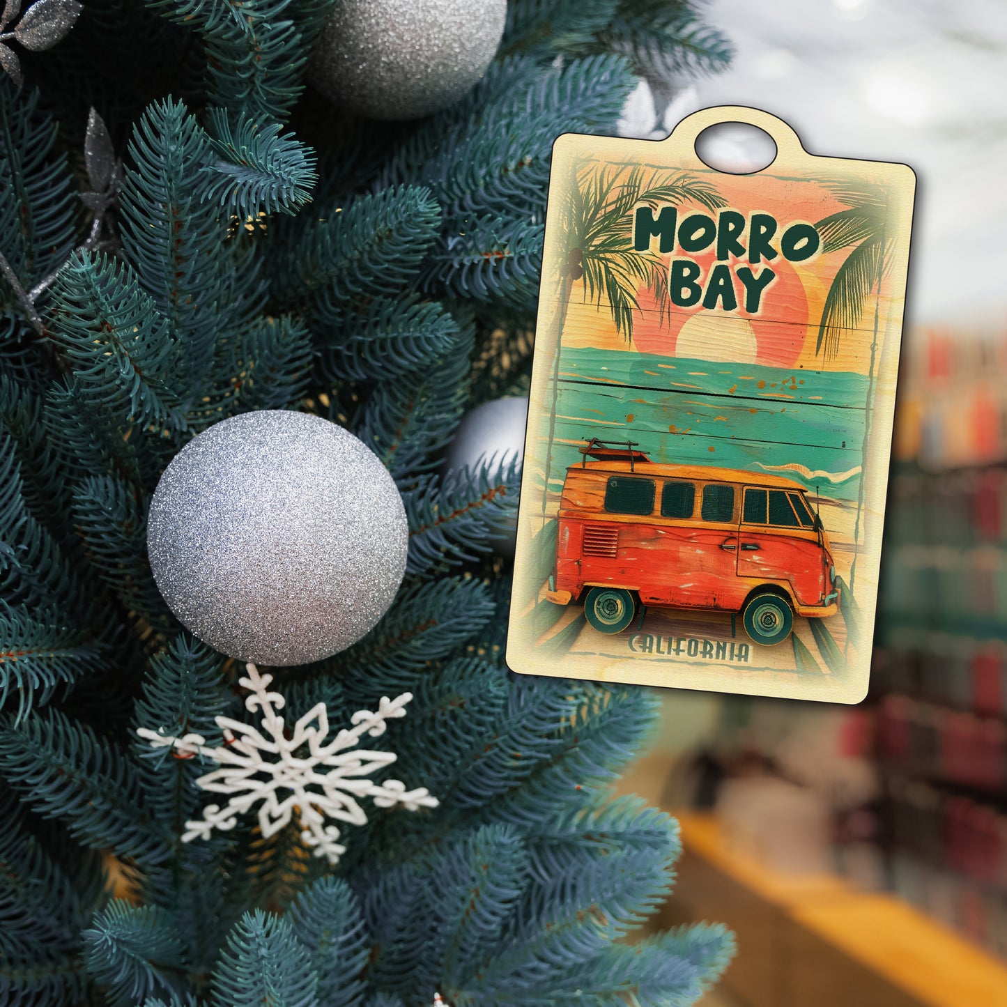 Morro Bay Beach Van