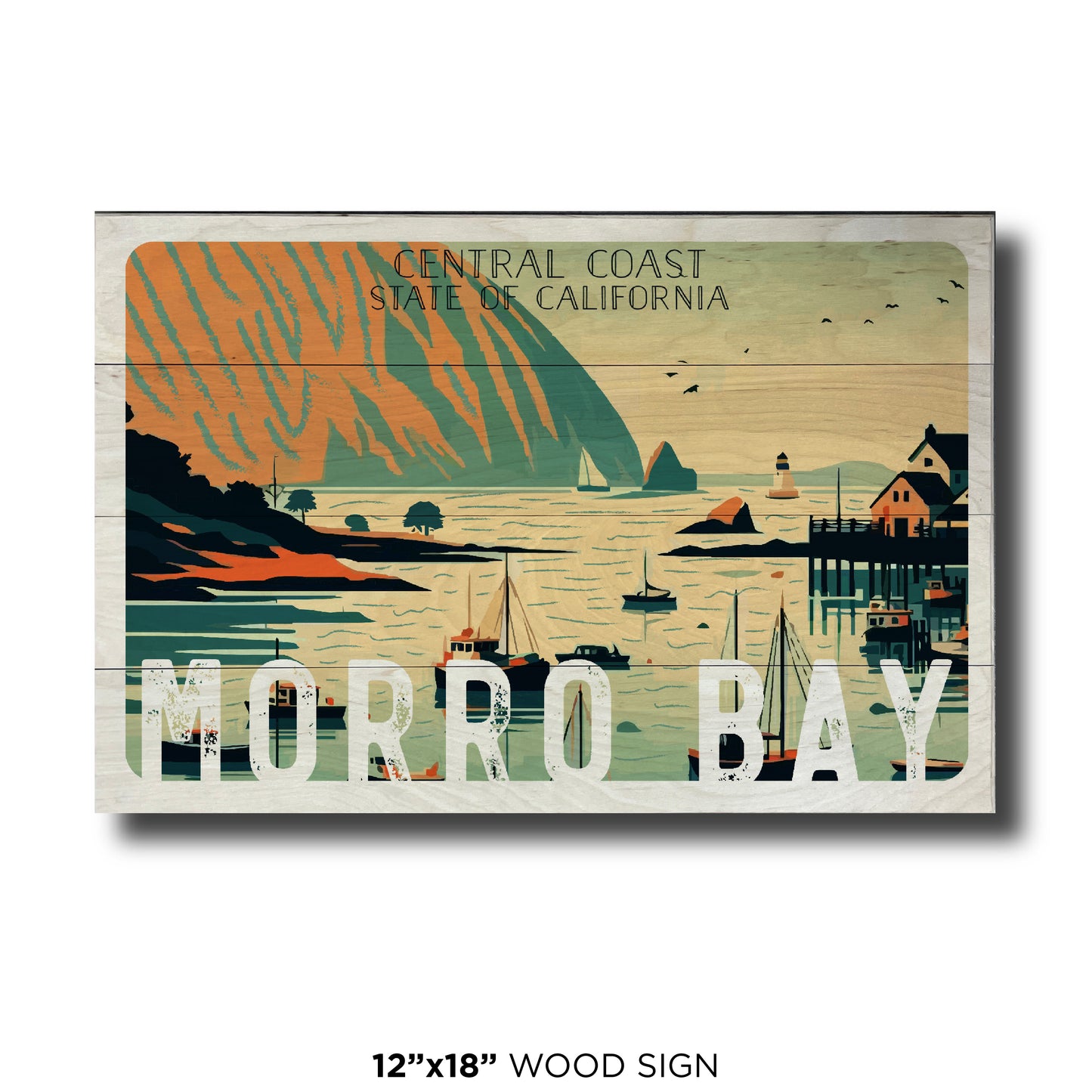 Morro Bay Activity