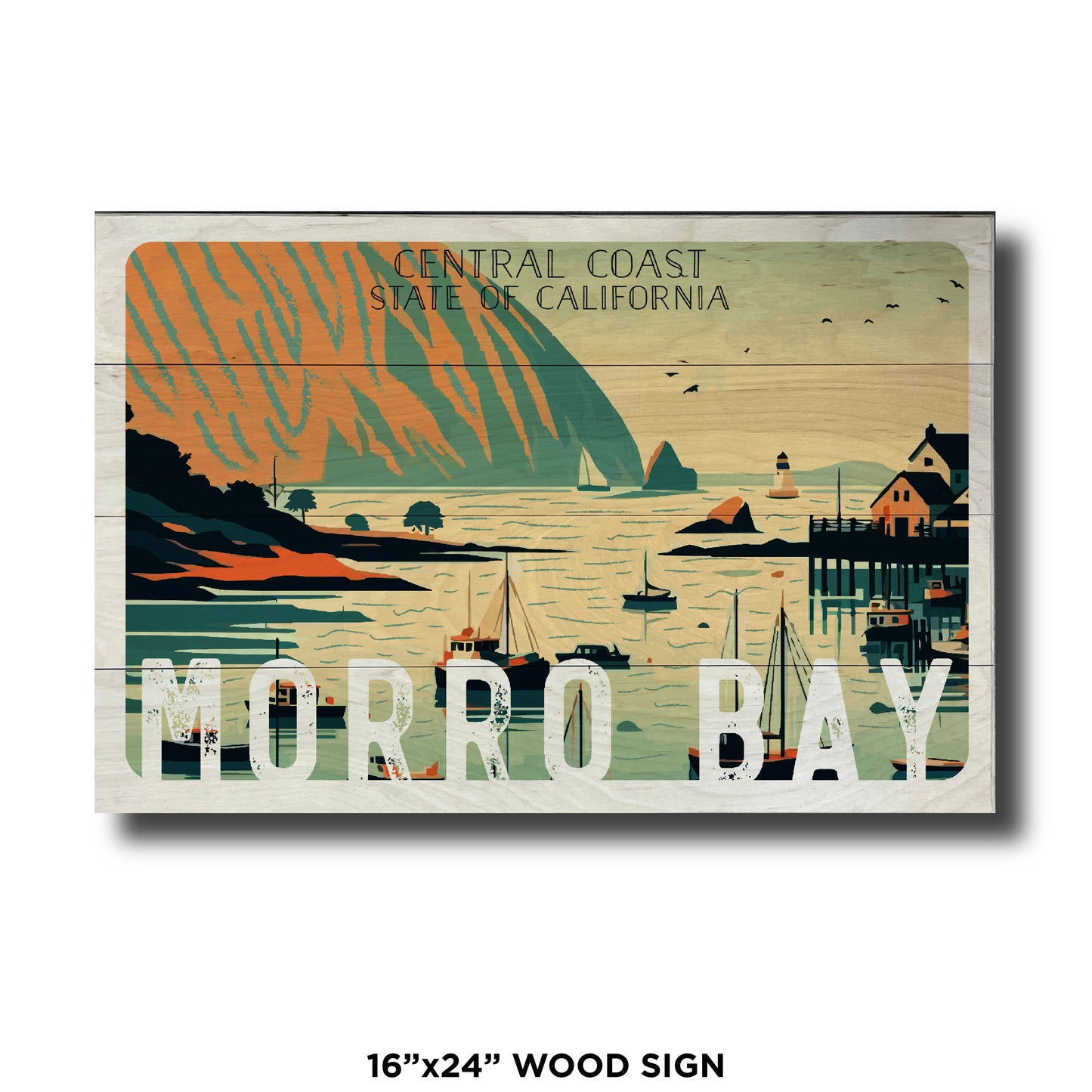 Morro Bay Activity