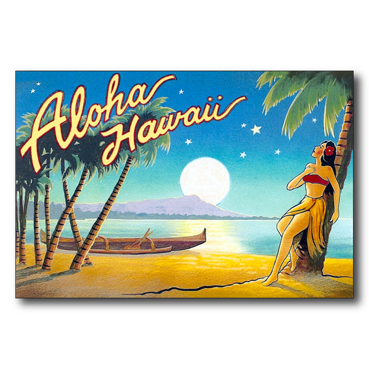 Aloha Hawaii