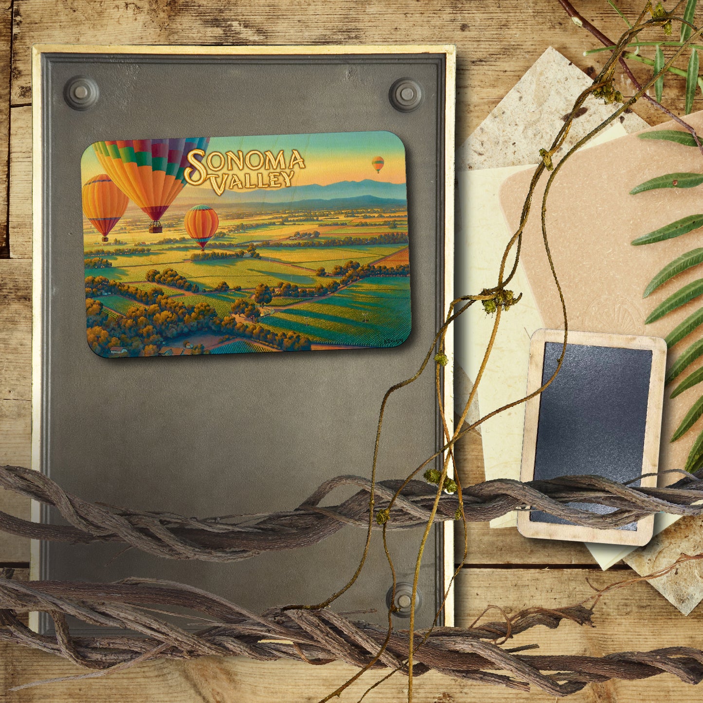 Sonoma Valley Hot Air Balloons