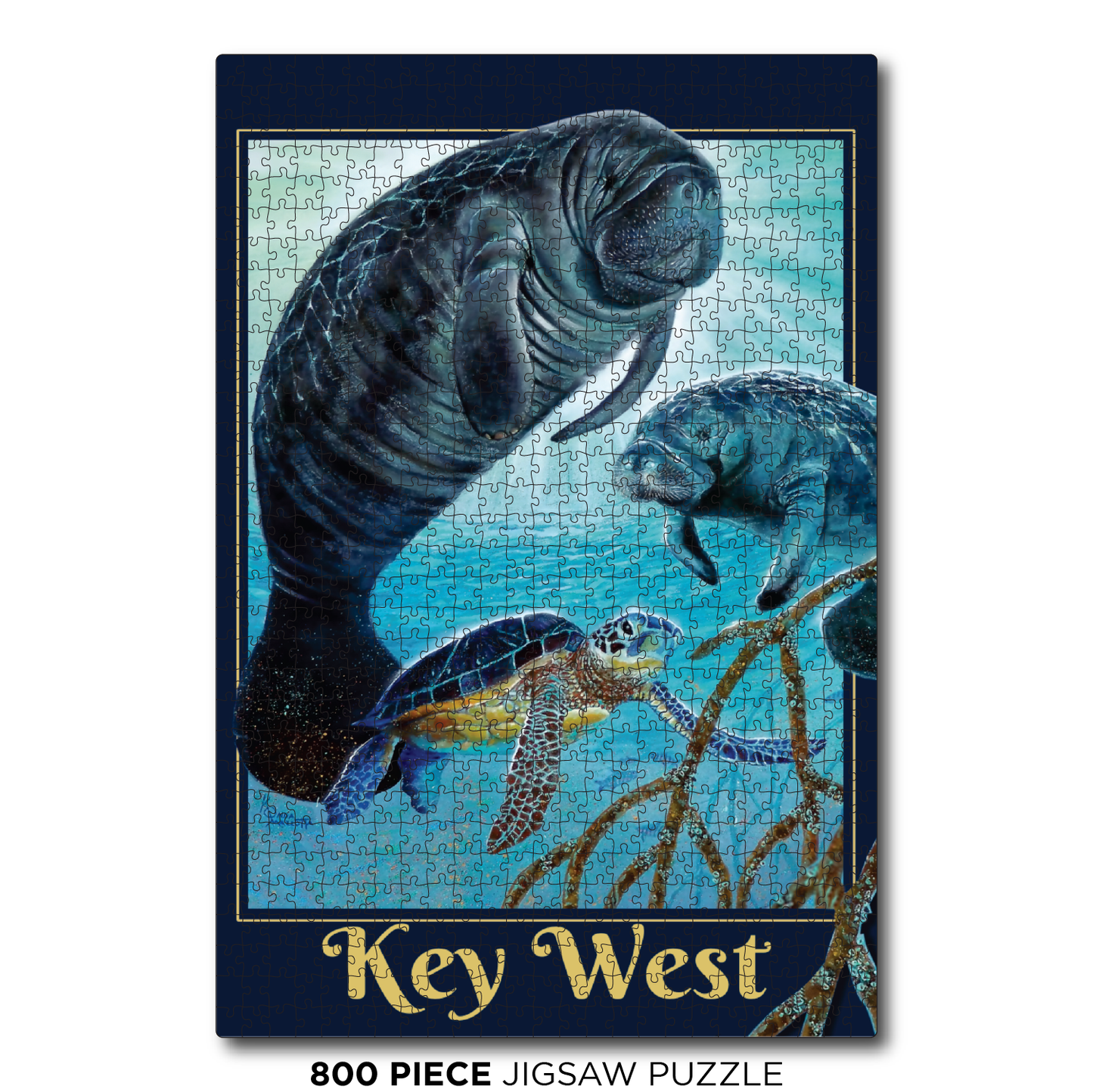 Key West Manatee Glow