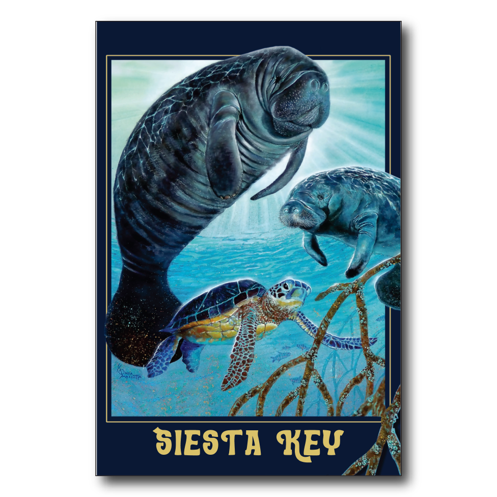 Siesta Key Manatee Glow