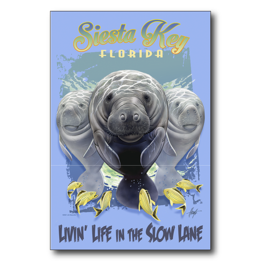 Siesta Key Slow Lane