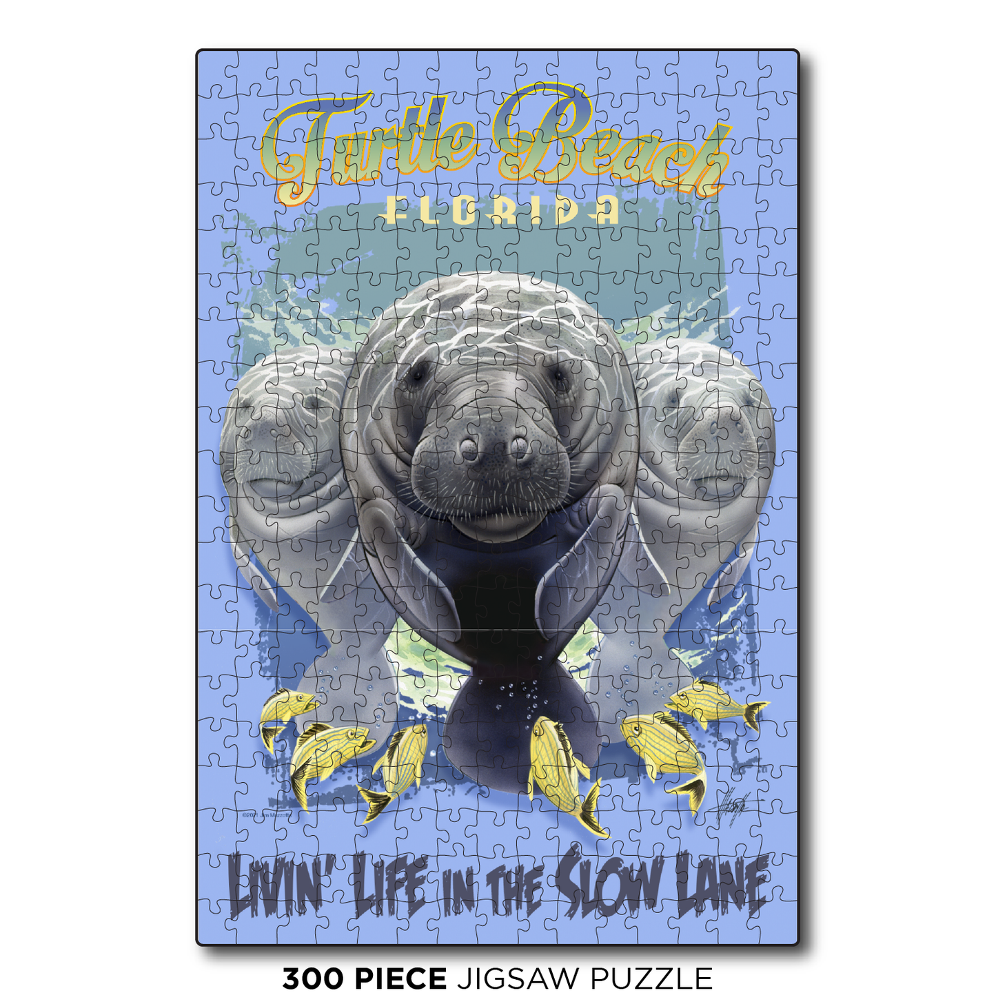 Turtle Beach Slow Lane