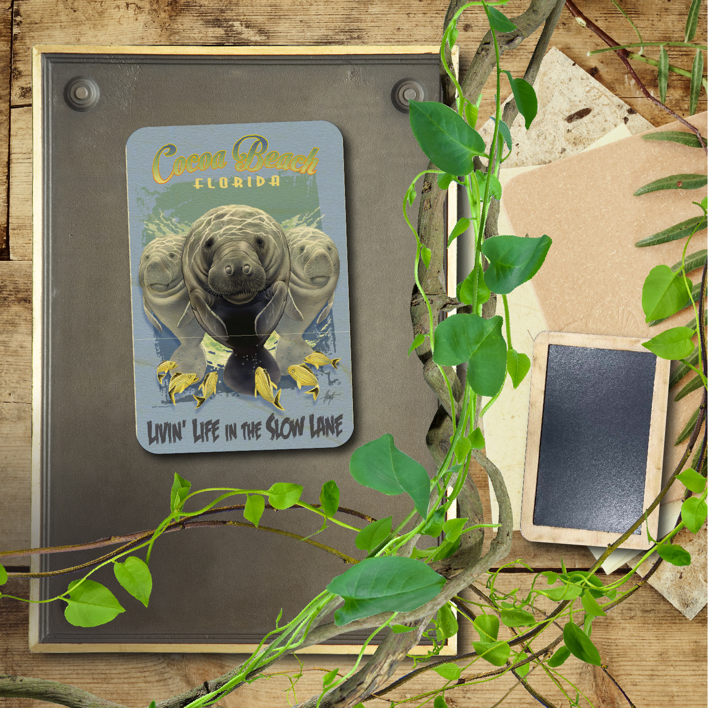 Cocoa Beach Slow Lane