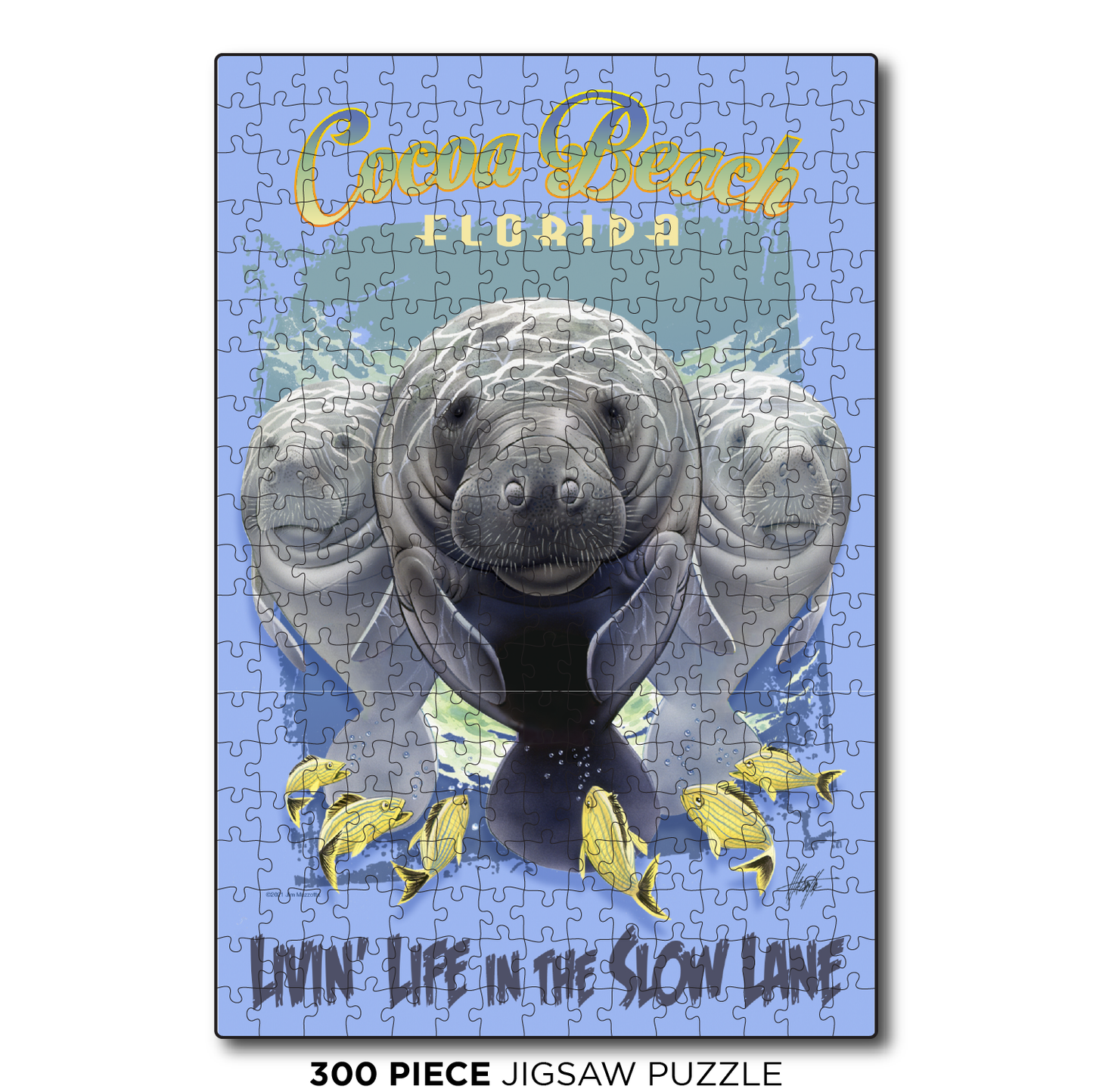 Cocoa Beach Slow Lane