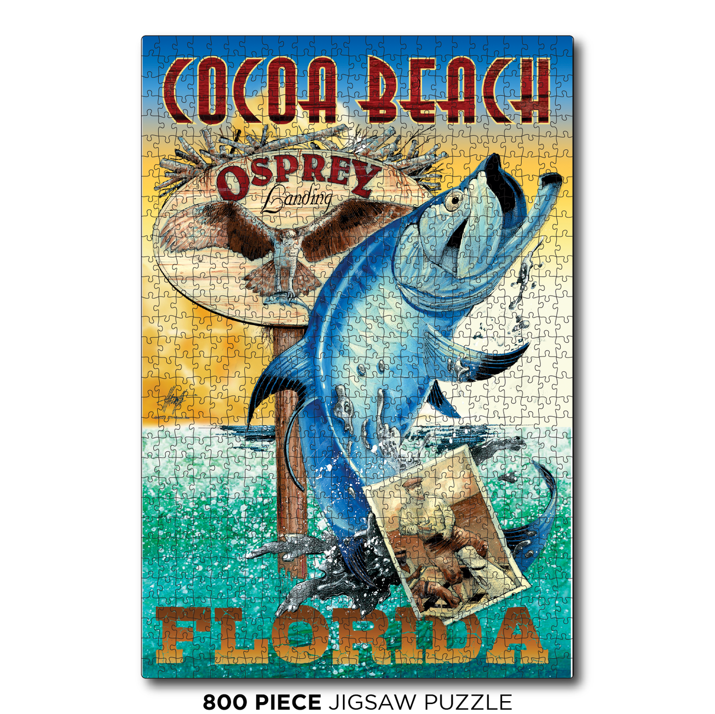 Cocoa Beach Tarpon
