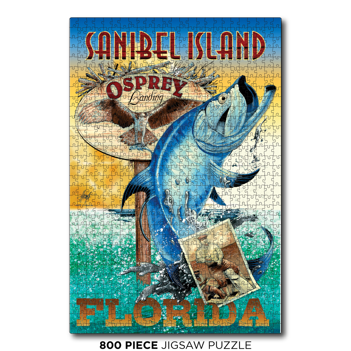 Sanibel Island Tarpon