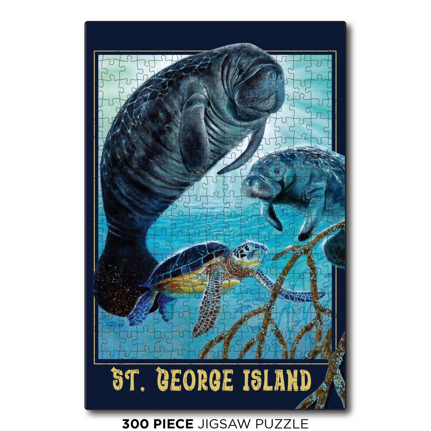 St. George Island Manatee Glow