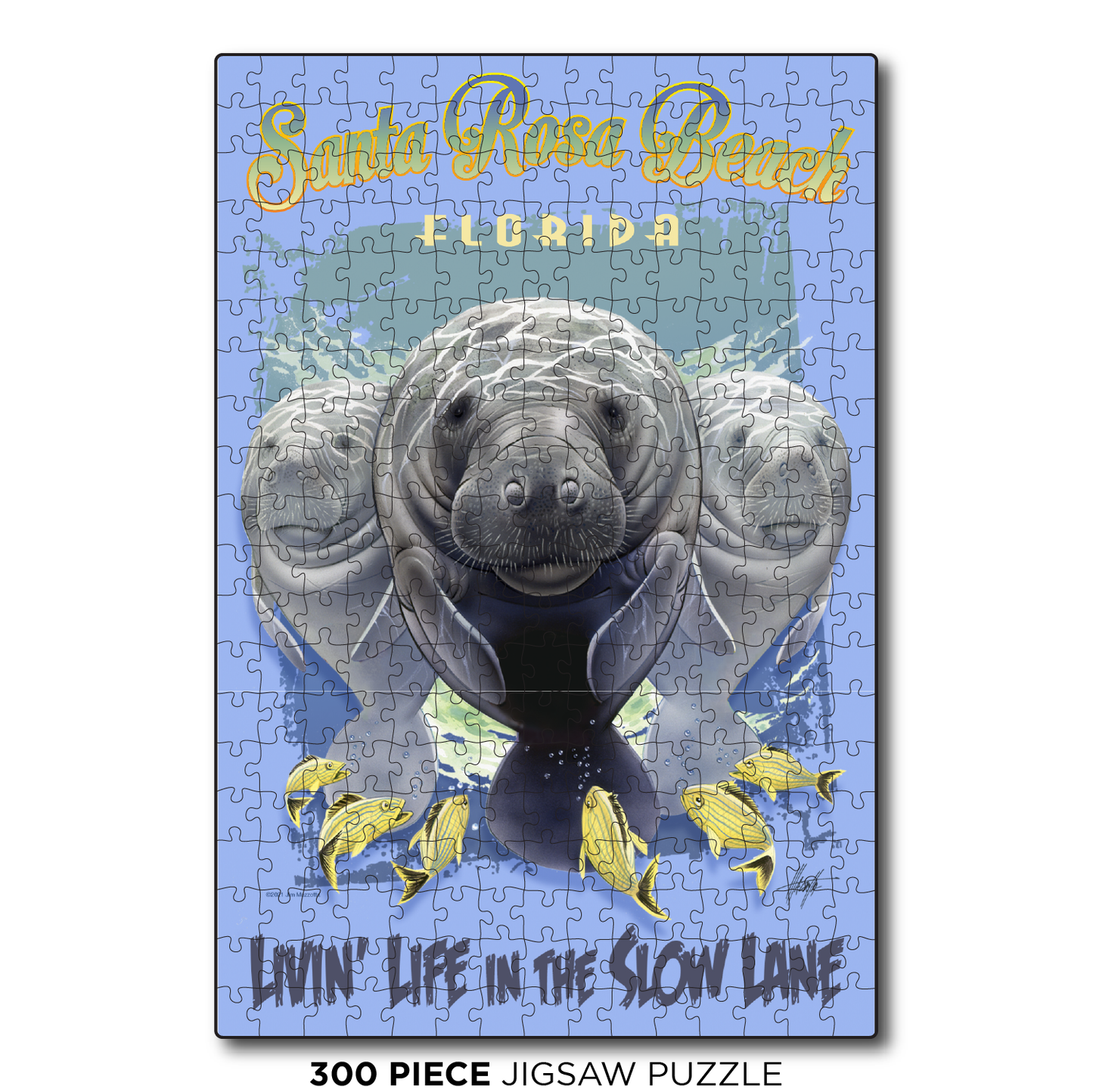 Santa Rosa Slow Lane
