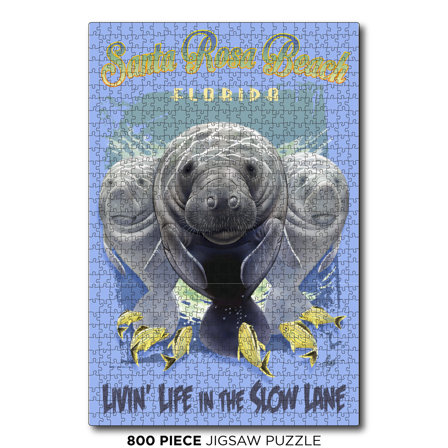 Santa Rosa Slow Lane