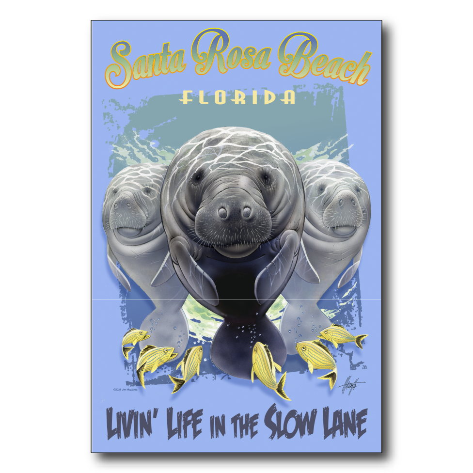 Santa Rosa Slow Lane