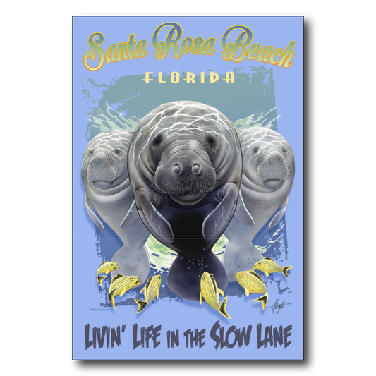 Santa Rosa Slow Lane