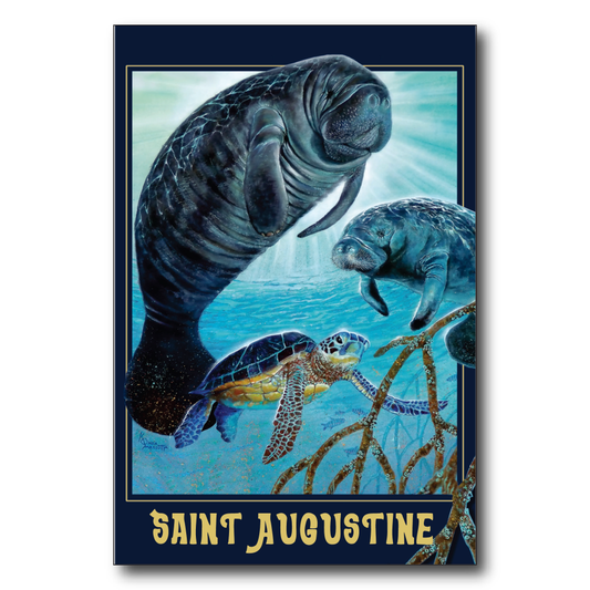 Saint Augustine Manatee Glow