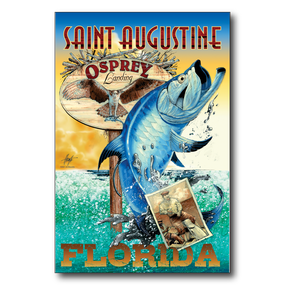 Saint Augustine Tarpon