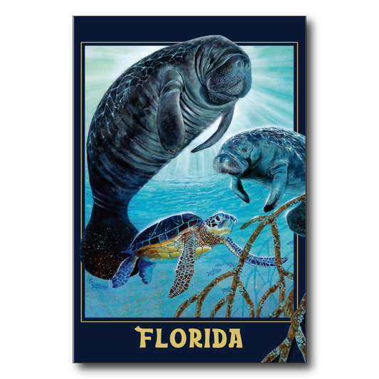Florida Manatee Glow