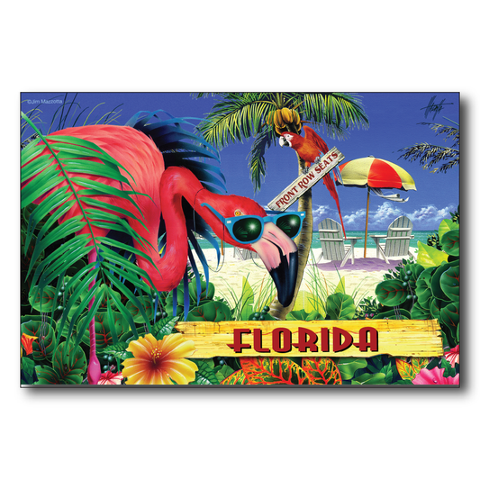 Florida Flamingo