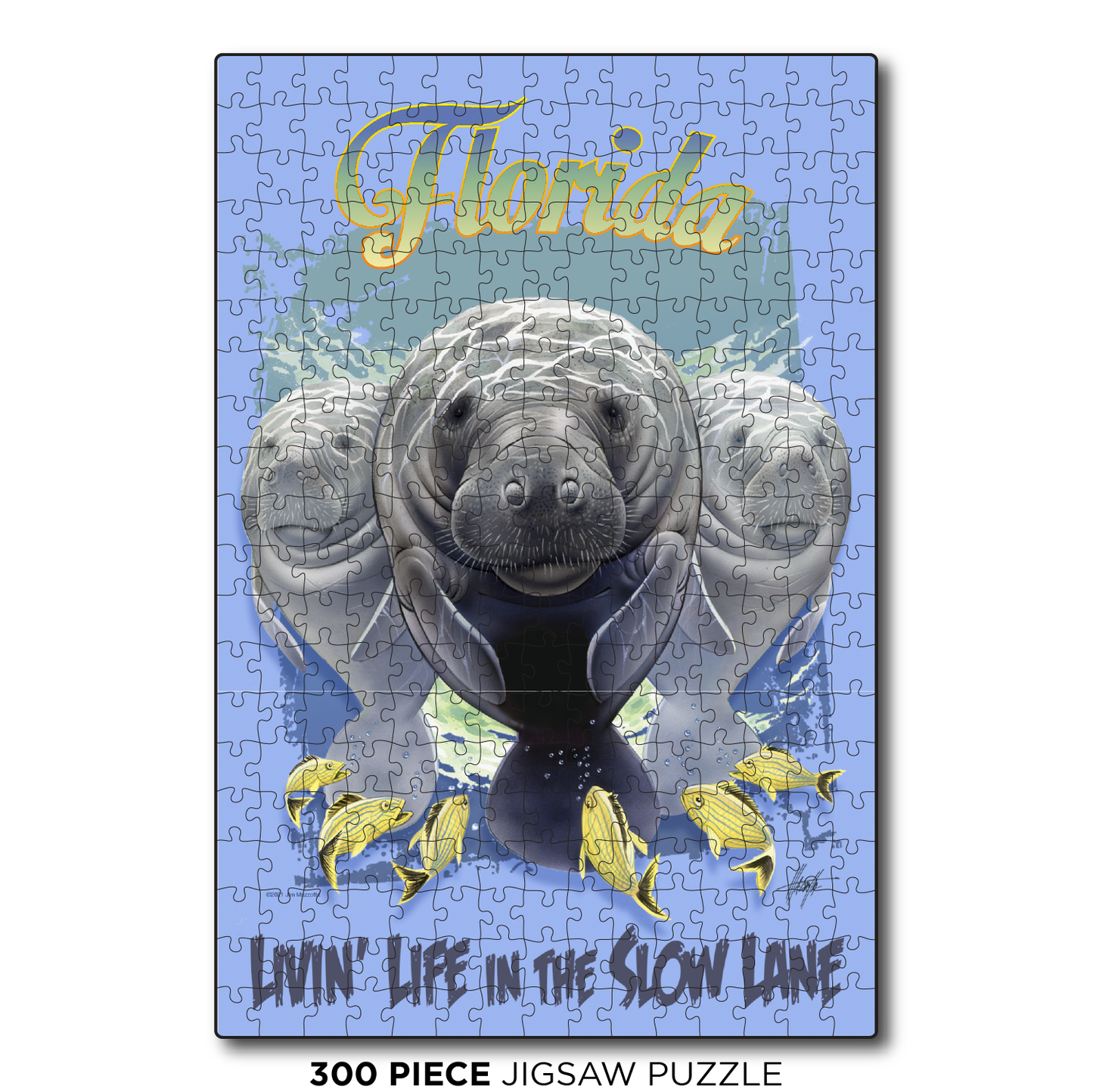 Florida Slow Lane