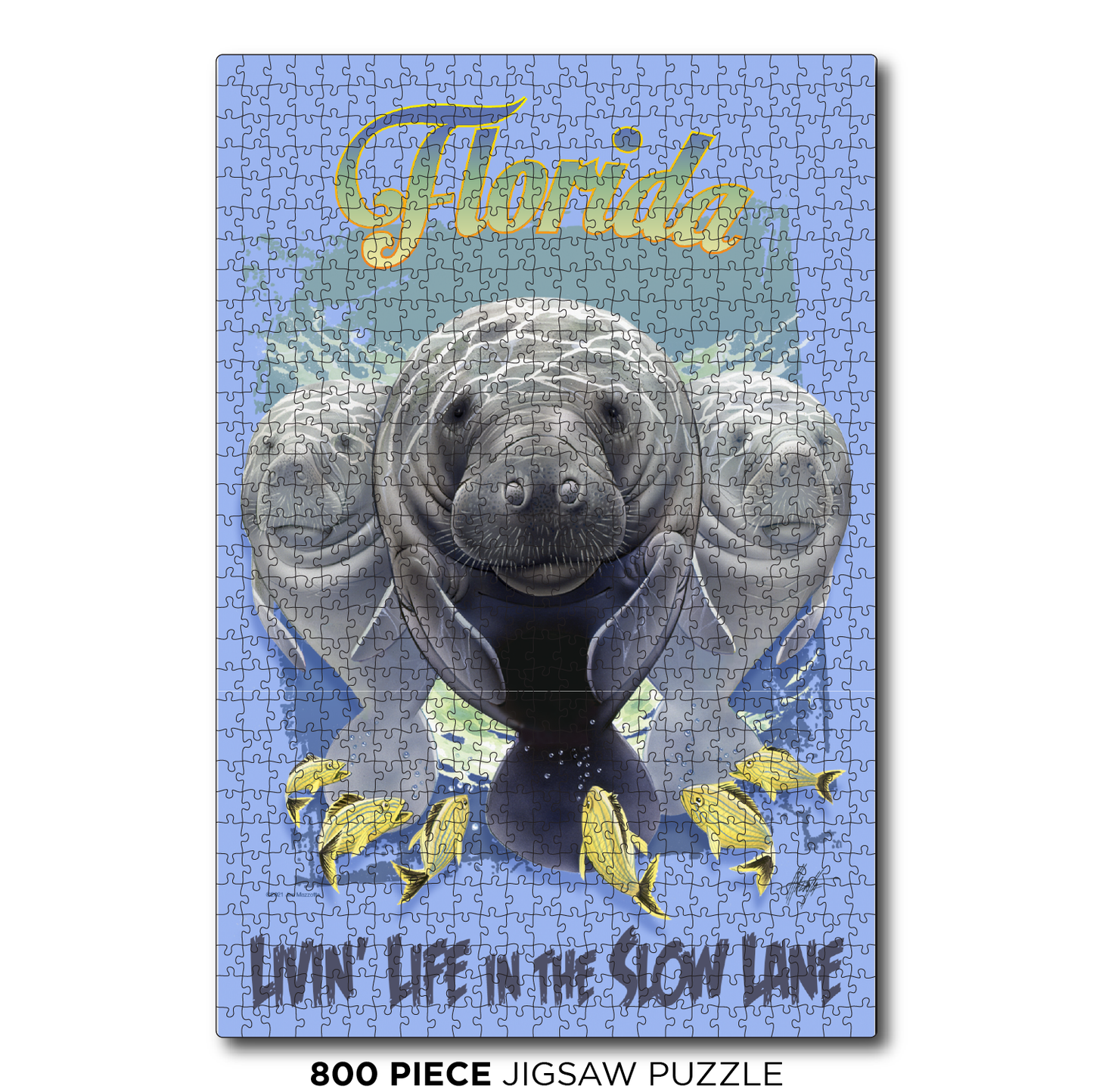 Florida Slow Lane