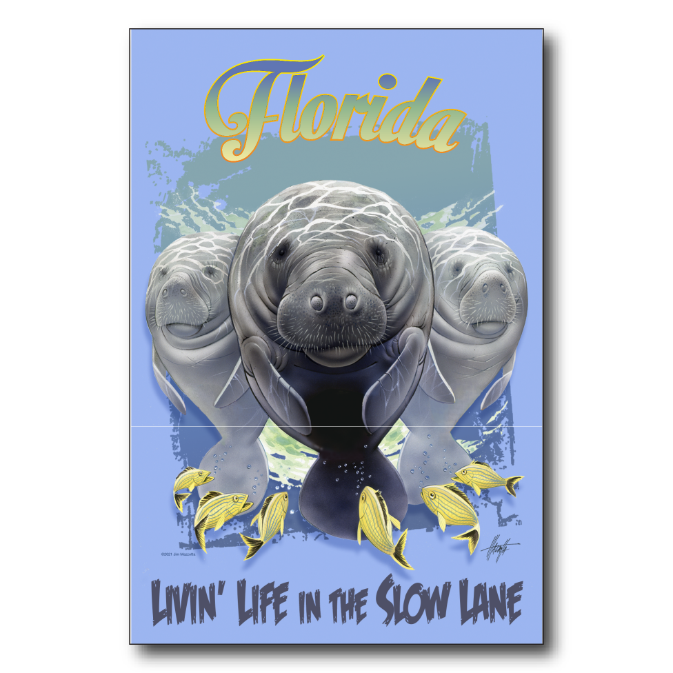Florida Slow Lane