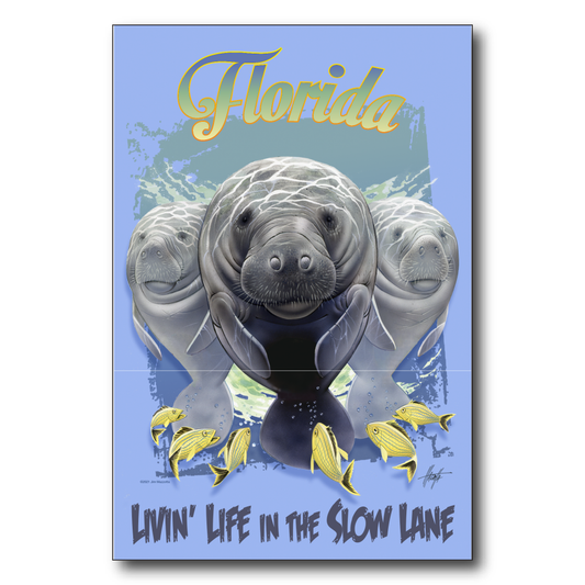Florida Slow Lane